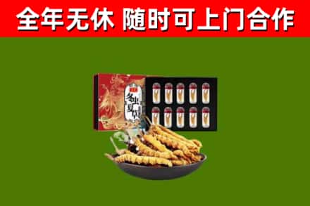 普洱市烟酒回收冬虫夏草礼盒.jpg